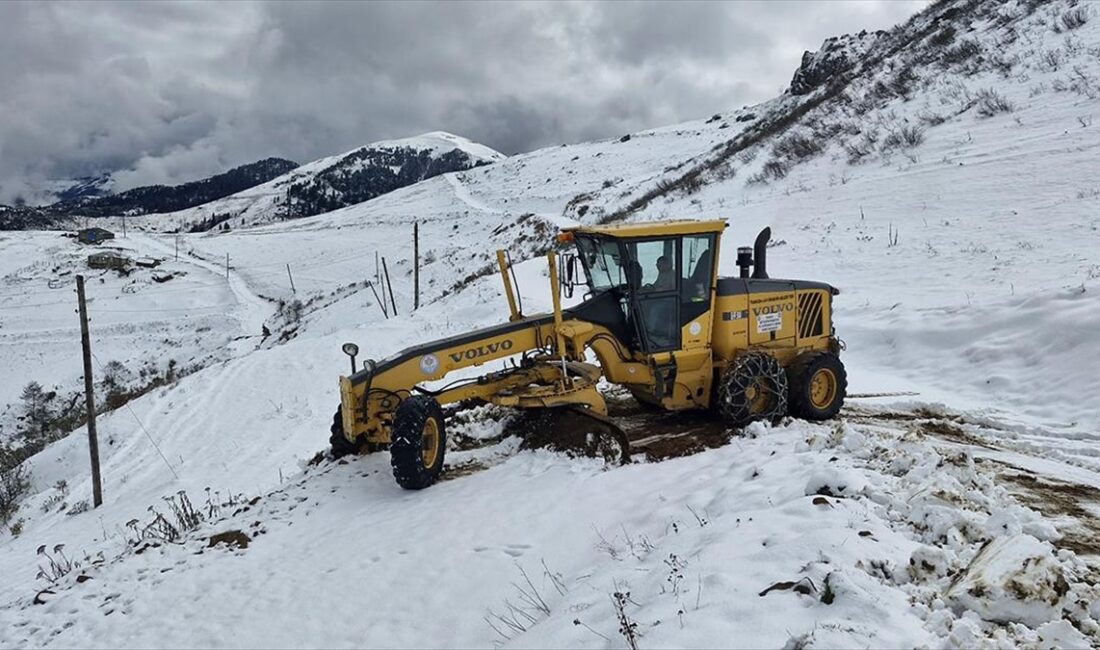 Trabzon'da yüksek rakımlı mahalle