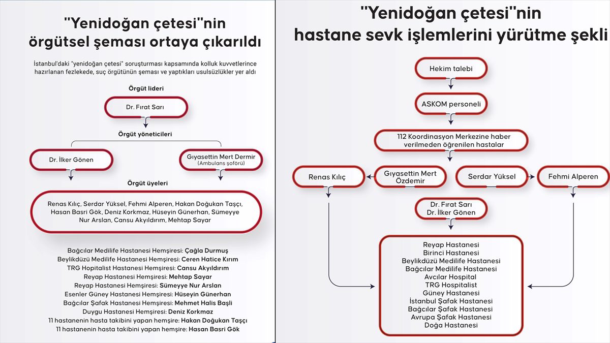 “Yenidoğan çetesi”nin örgütsel şeması ortaya çıkarıldı