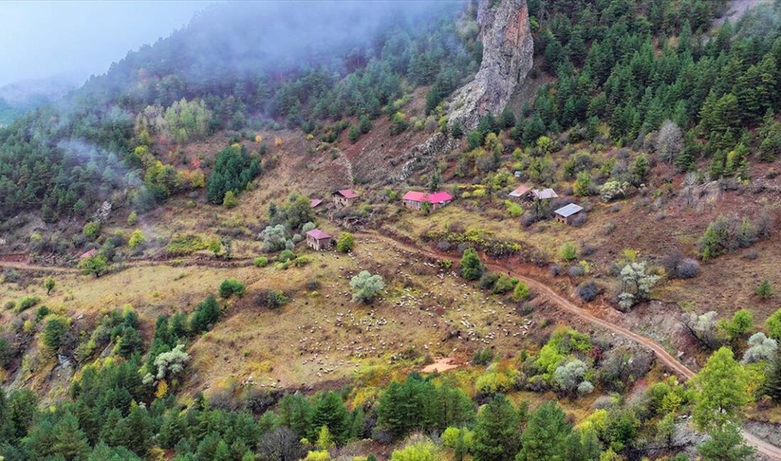 Doğu Karadeniz'i Doğu Anadolu'ya