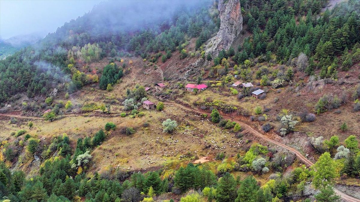 Zigana Dağı sonbahar renklerine büründü