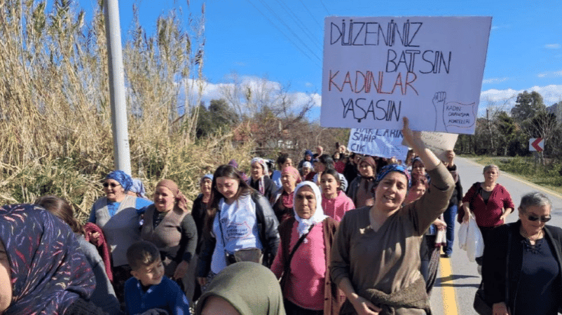 Kadın cinayetleri son bulmuyor. Son haberler Konya, Tekirdağ ve İstanbul’dan